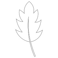 leaf simple single